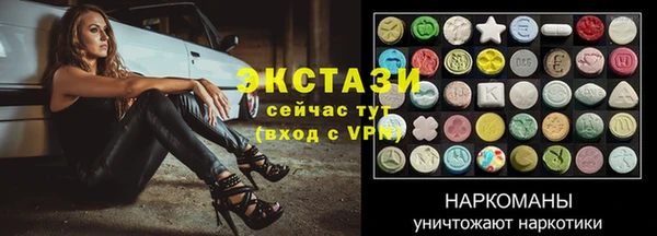 шишки Ельня