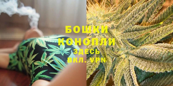 шишки Ельня