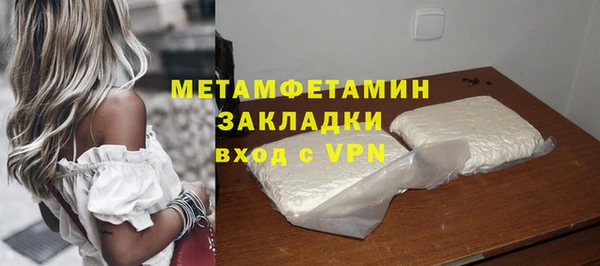 шишки Ельня