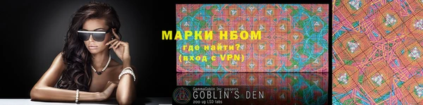 шишки Ельня