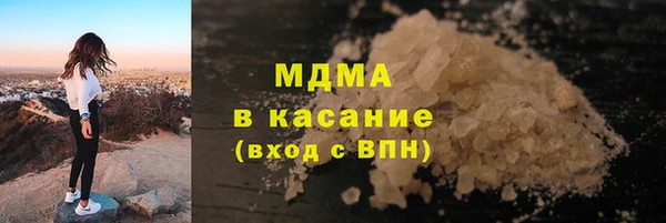 шишки Ельня