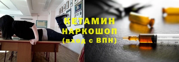 шишки Ельня
