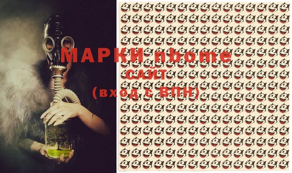 шишки Ельня