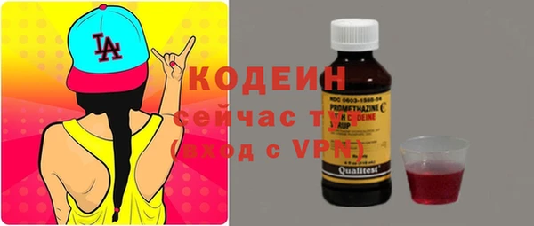 шишки Ельня