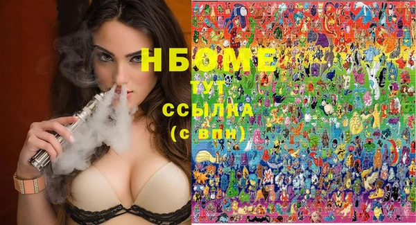 шишки Ельня