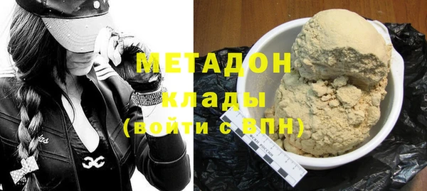 шишки Ельня