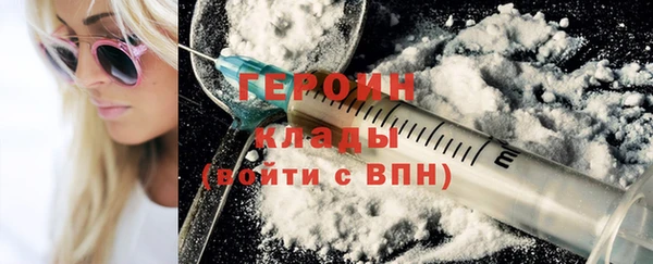 шишки Ельня