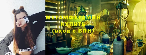 шишки Ельня