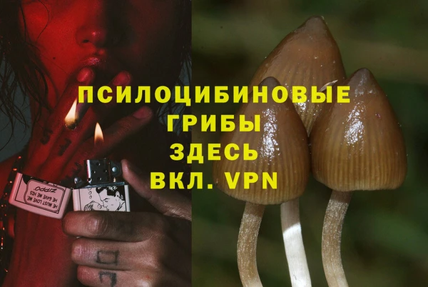 шишки Ельня