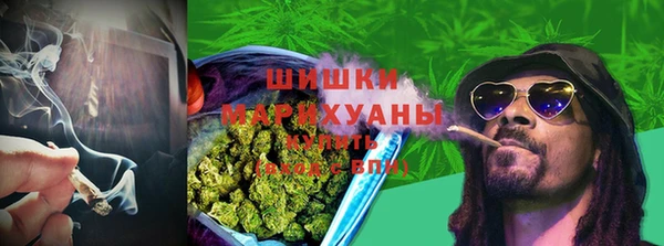 шишки Ельня