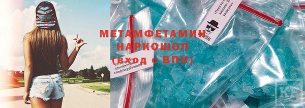 шишки Ельня