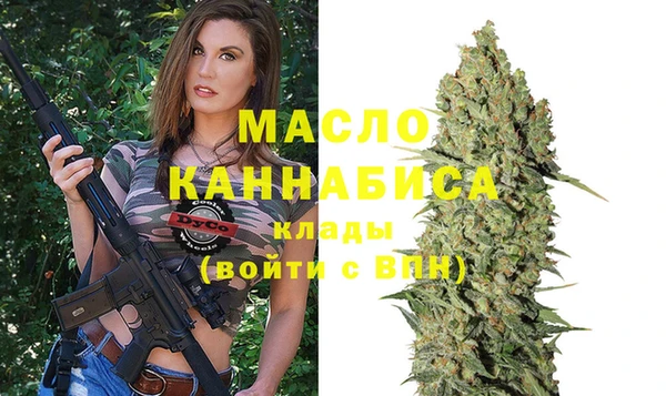 шишки Ельня