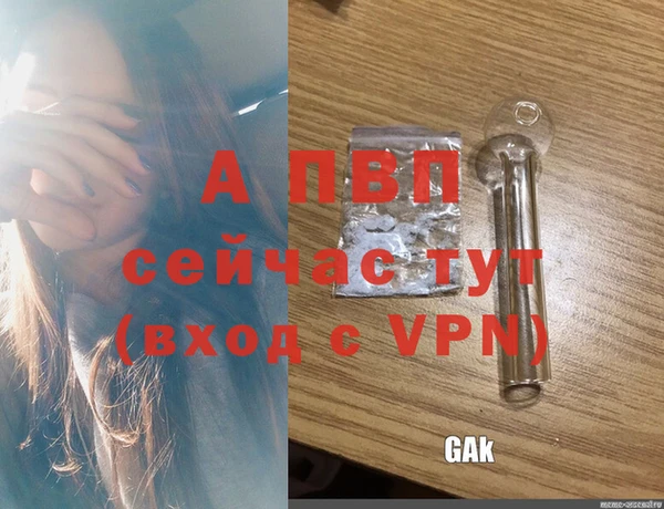 шишки Ельня