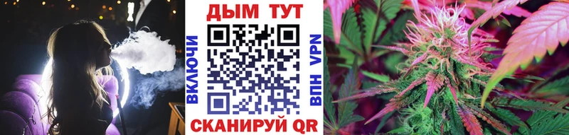 Конопля White Widow  Купить где  Кедровый 